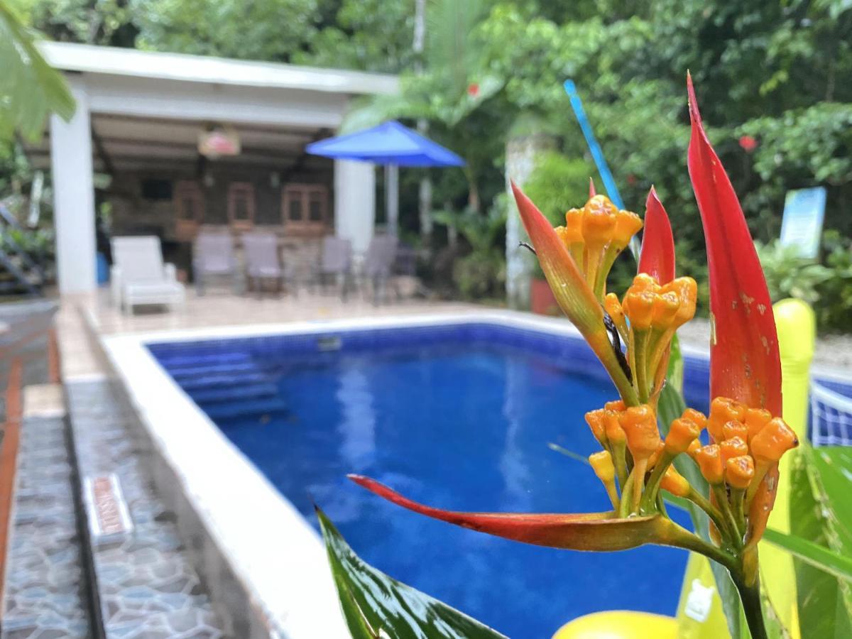 La Posada Jungle Hotel Manuel Antonio Exteriör bild