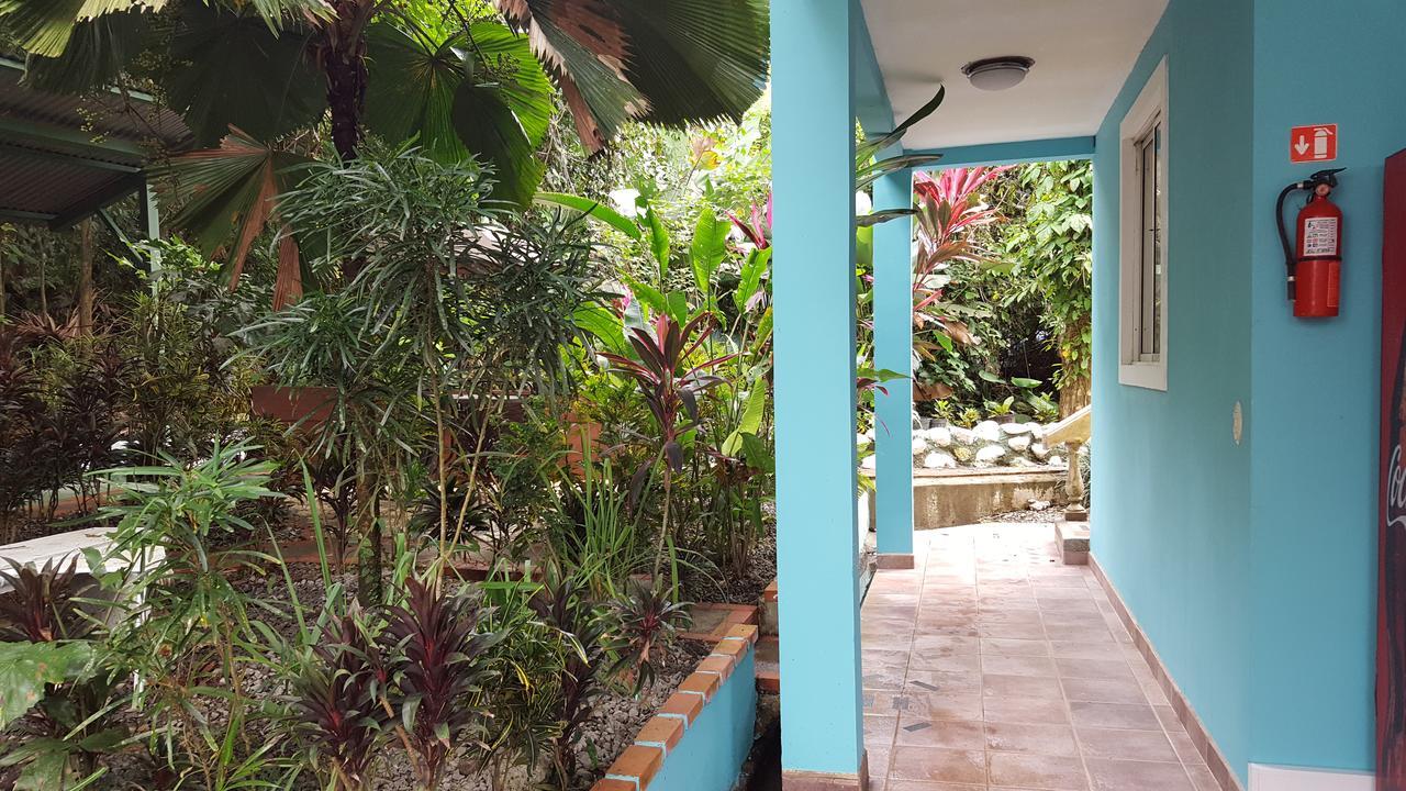 La Posada Jungle Hotel Manuel Antonio Exteriör bild