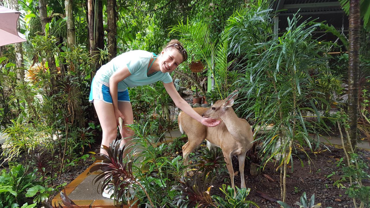 La Posada Jungle Hotel Manuel Antonio Exteriör bild