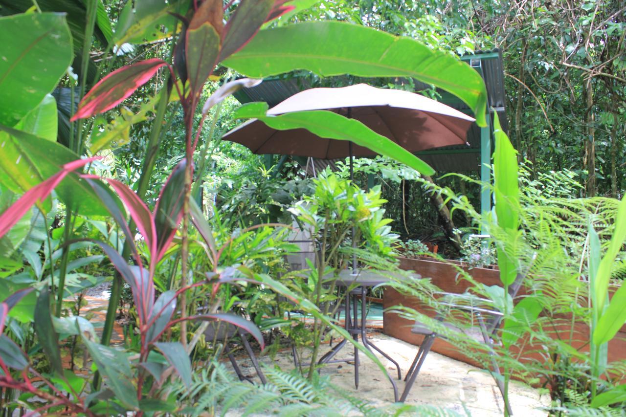 La Posada Jungle Hotel Manuel Antonio Exteriör bild
