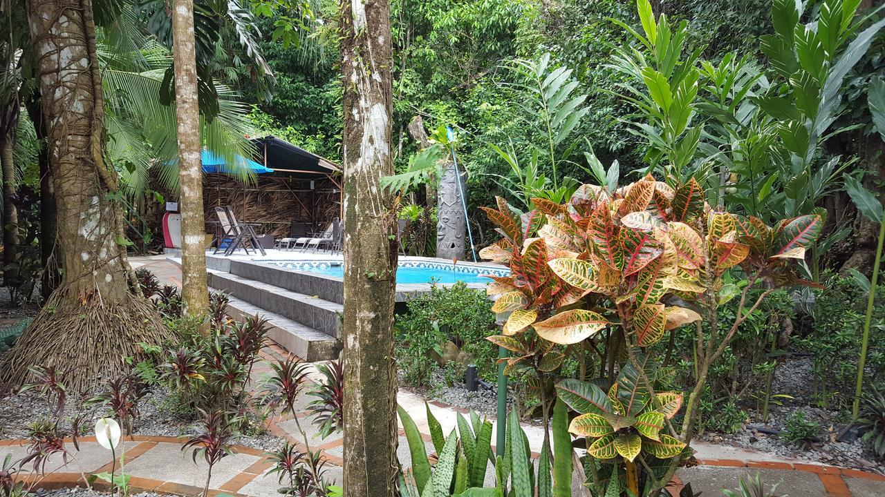 La Posada Jungle Hotel Manuel Antonio Exteriör bild