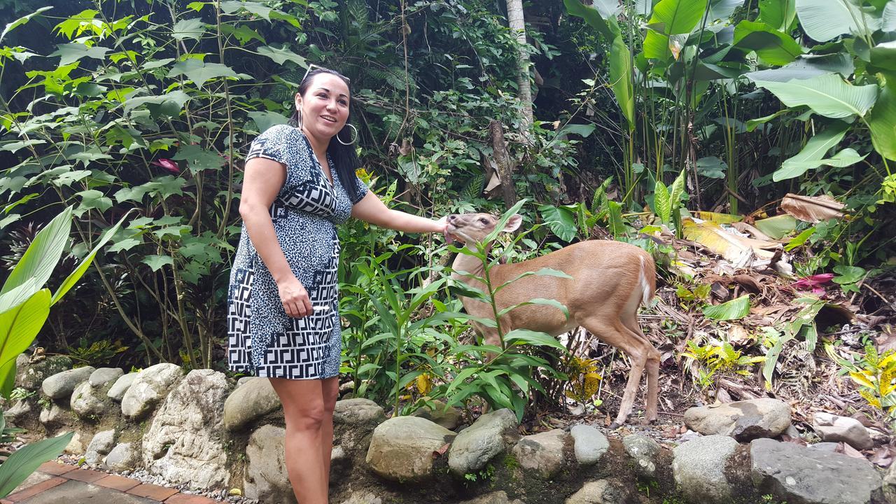 La Posada Jungle Hotel Manuel Antonio Exteriör bild